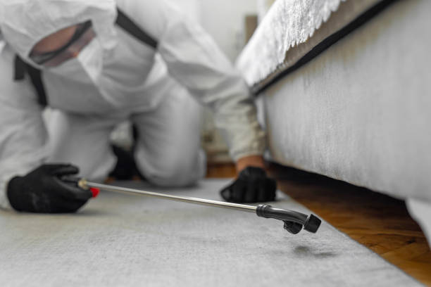 Professional Bed Bug Control technician working in DeKalb County County, AL